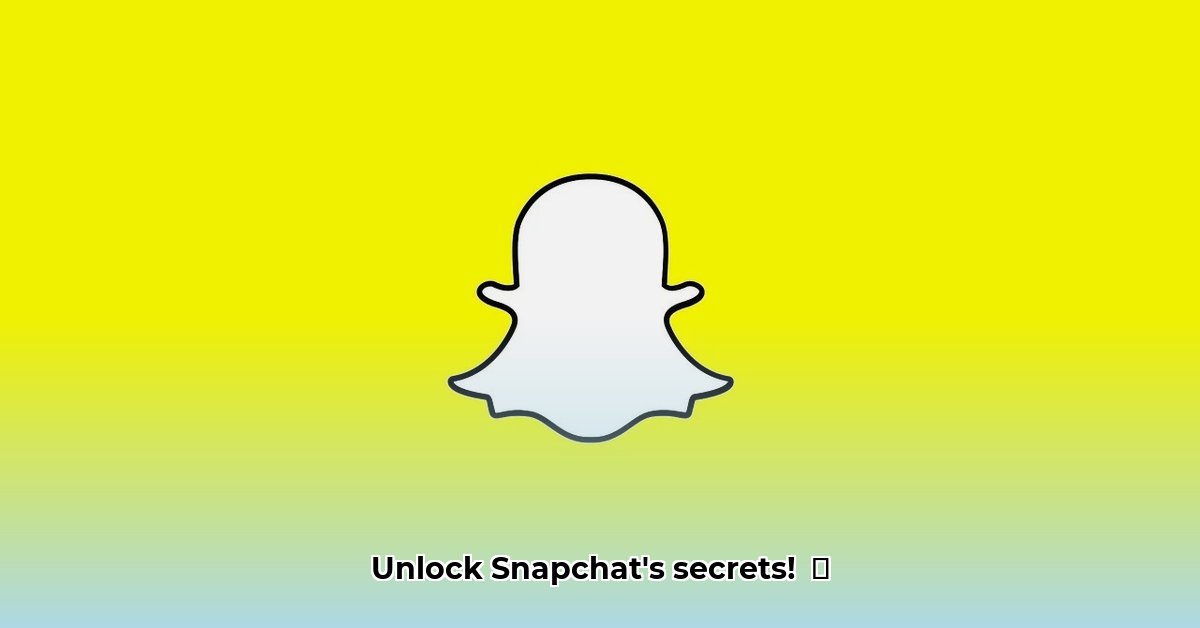 snapchat-point